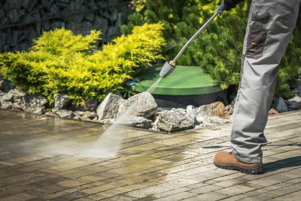 Best Fence Cleaning  in Dawson Springs, KY